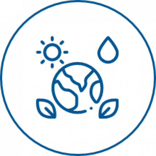 A drawing of the earth with a sun and leaves in a blue circle.